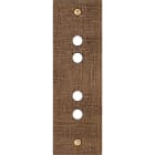 MODELEC - Façade Fascination Laiton Coslan Etroite Longue P4 à Vis