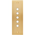 MODELEC - Façade Confidence Laiton Brosse Etroite Longue P5 à Vis