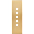 MODELEC - Façade Confidence Laiton Brosse Etroite Longue 5 Push