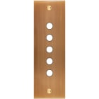 MODELEC - Façade Confidence Laiton Vieux Bronze Etroite Longue P5 à Vis