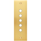 MODELEC - Façade Confidence Laiton Satine Etroite Longue P5 à Vis