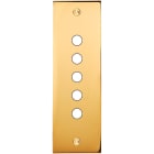 MODELEC - Façade Confidence Laiton Or Miroir Etroite Longue P5 à Vis