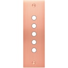 MODELEC - Façade Confidence Laiton Cuivre Satine Etroite Longue P5 à Vis