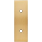 MODELEC - Façade Confidence Laiton Brosse Etroite Longue 2 Push Eloignes