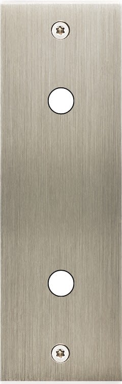 MODELEC - Façade Confidence Laiton Acier Brosse Etroite Longue P2X à Vis