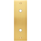 MODELEC - Façade Confidence Laiton Satine Etroite Longue P2X à Vis