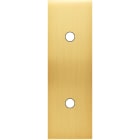 MODELEC - Façade Confidence Laiton Satine Etroite Longue 2 Push Eloignes