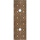 MODELEC - Façade Fascination Laiton Atlas Etroite Longue 2 Push Eloignes