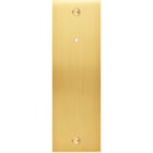 MODELEC - Façade Confidence Laiton Satine Etroite Longue P1+Led Eloigne à Vis