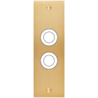 MODELEC - Façade Confidence Laiton Brosse Etroite Longue 2 Gros Push à Vis