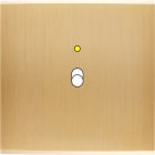 MODELEC - Façade Confidence Laiton Brosse Simple B1+Led Magnetique