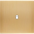 MODELEC - Façade Confidence Laiton Brosse Simple B1