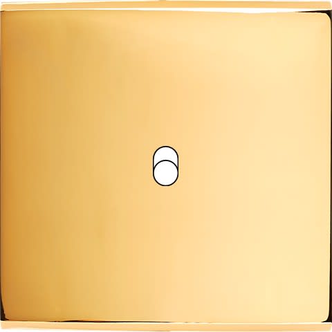 MODELEC - Façade Confidence Laiton Or Miroir Simple B1