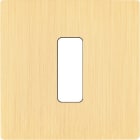 MODELEC - Façade "M" Laiton Brosse Simple 1 Bouton magnétique