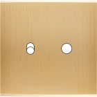 MODELEC - Façade Confidence Laiton Brosse Simple 1 Basculeur 1 Push Magnetique