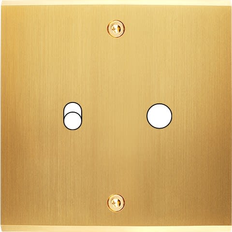 MODELEC - Façade Confidence Laiton Satine Simple B1 P1 à Vis