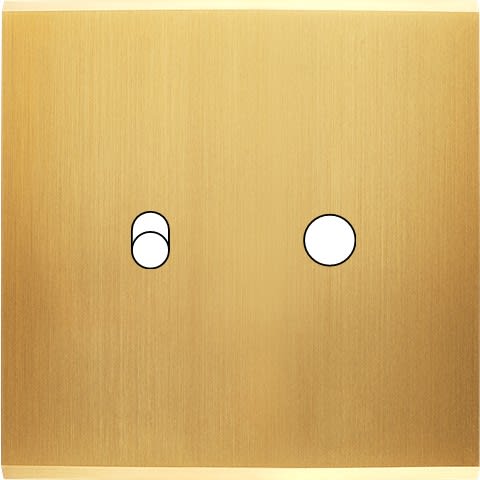 MODELEC - Façade Confidence Laiton Satine Simple 1 Basculeur 1 Push Magnetique