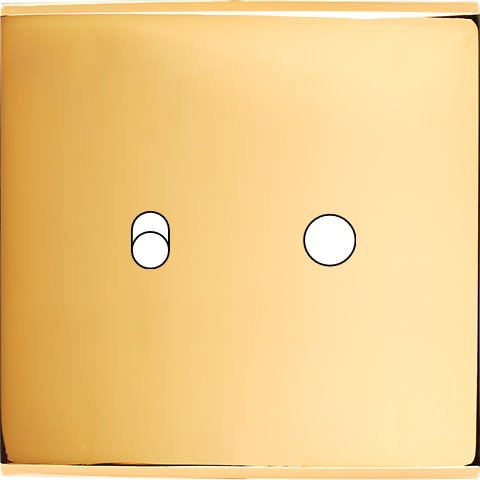 MODELEC - Façade Confidence Laiton Or Miroir Simple 1 Basculeur 1 Push Magnetique