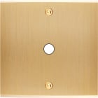 MODELEC - Façade Confidence Laiton Brosse Simple P1 à Vis