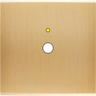 MODELEC - Façade Confidence Laiton Brosse Simple P1+Led Magnetique
