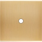 MODELEC - Façade Confidence Laiton Brosse Simple 1 Push