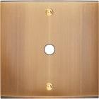 MODELEC - Façade Confidence Laiton Vieux Bronze Simple P1 à Vis