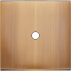 MODELEC - Façade Confidence Laiton Vieux Bronze Simple 1 Push