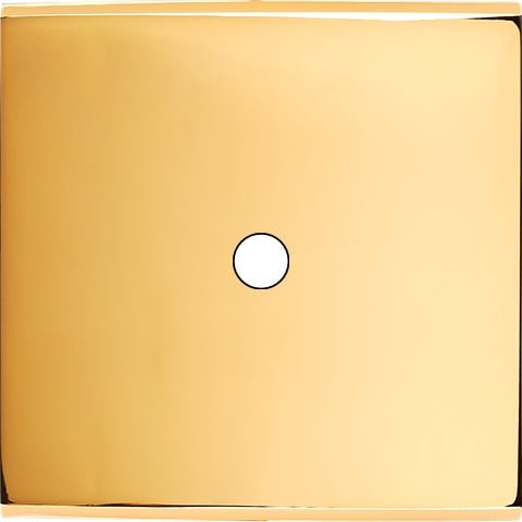 MODELEC - Façade Confidence Laiton Or Miroir Simple 1 Push