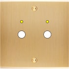 MODELEC - Façade Confidence Laiton Brosse Simple P2+Led à Vis