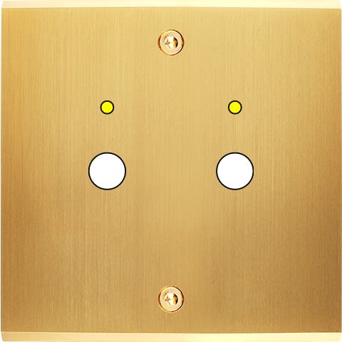 MODELEC - Façade Confidence Laiton Satine Simple P2+Led à Vis