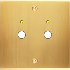 MODELEC - Façade Confidence Laiton Satine Simple P2+Led à Vis