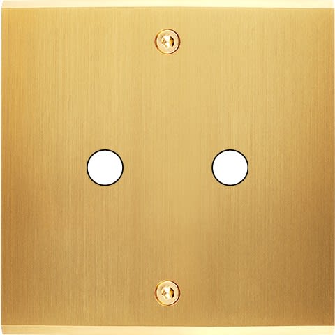 MODELEC - Façade Confidence Laiton Satine Simple P2 à Vis