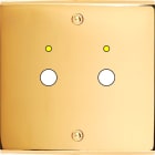 MODELEC - Façade Confidence Laiton Or Miroir Simple P2+Led à Vis