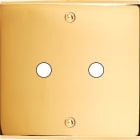 MODELEC - Façade Confidence Laiton Or Miroir Simple P2 à Vis