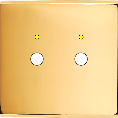 MODELEC - Façade Confidence Laiton Or Miroir Simple P2+Led Magnetique