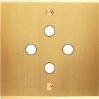 MODELEC - Façade Confidence Laiton Satine Simple P4 à Vis