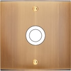 MODELEC - Façade Confidence Laiton Vieux Bronze Simple 1 Gros Push à Vis