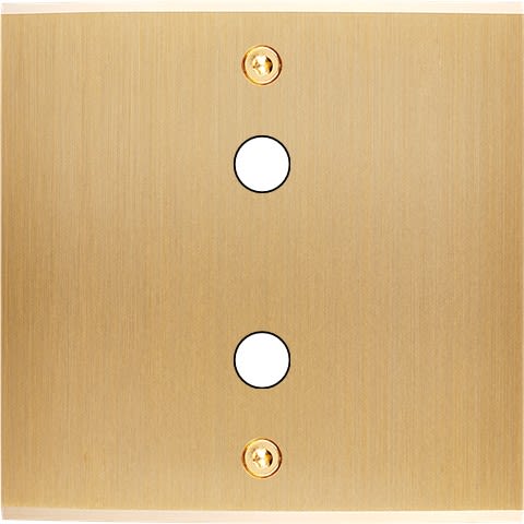 MODELEC - Façade Confidence Laiton Brosse Simple P2X à Vis