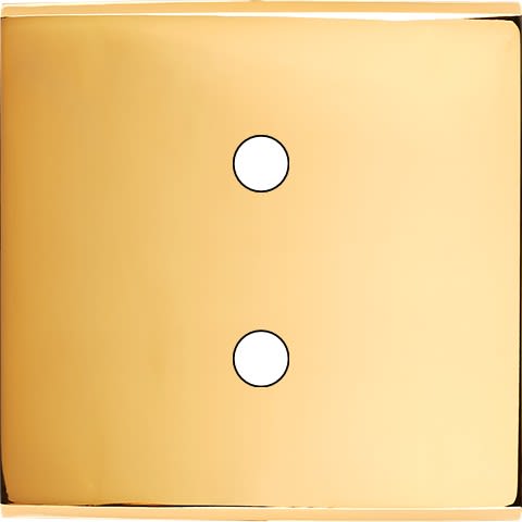 MODELEC - Façade Confidence Laiton Or Miroir Simple P2X Magnetique