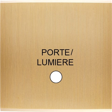 MODELEC - Façade Confidence Laiton Brosse Simple Guichet Lumineux Portemagnetique