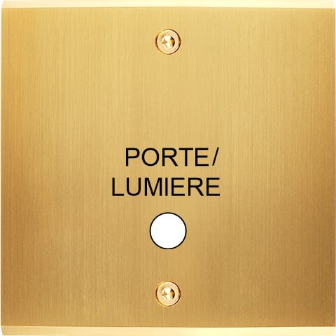 MODELEC - Façade Confidence Laiton Satine Simple Guichet Portea Vis