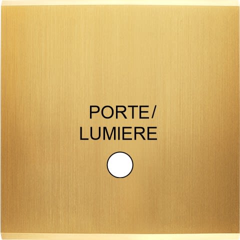 MODELEC - Façade Confidence Laiton Satine Simple Guichet Lumineux Porte