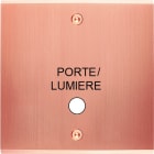 MODELEC - Façade Confidence Laiton Cuivre Satine Simple Guichet Lumineux Porte à Vis