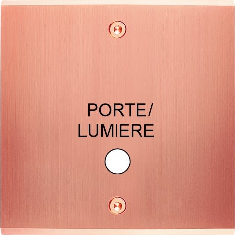 MODELEC - Façade Confidence Laiton Cuivre Satine Simple Guichet Lumineux Lumiere V