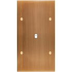 MODELEC - Façade Confidence Laiton Vieux Bronze Double Verticale B1 à Vis