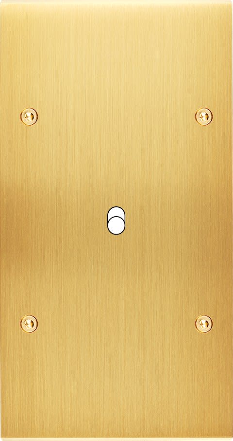 MODELEC - Façade Confidence Laiton Satine Double Verticale B1 à Vis