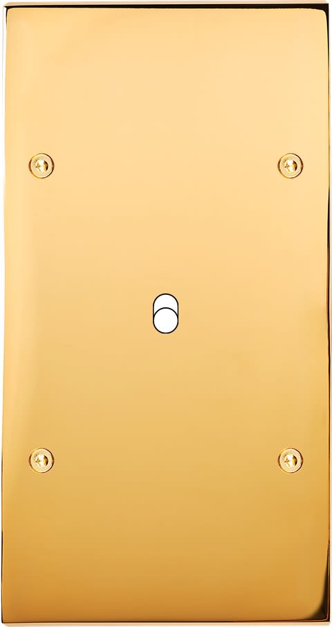 MODELEC - Façade Confidence Laiton Or Miroir Double Verticale B1 à Vis