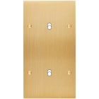MODELEC - Façade Confidence Laiton Brosse Double Verticale B1 B1 à Vis