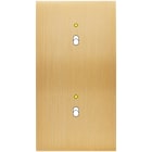 MODELEC - Façade Confidence Laiton Brosse Double Verticale B1+Led B1+Led Magnetique