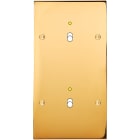 MODELEC - Façade Confidence Laiton Or Miroir Double Verticale B1+Led B1+Led à Vis